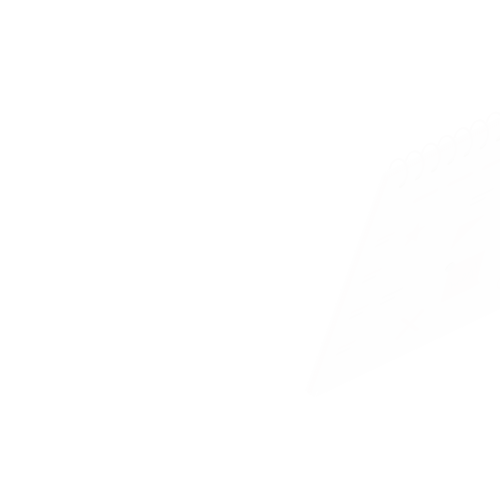 Which MLM Plan is Best for Beginners