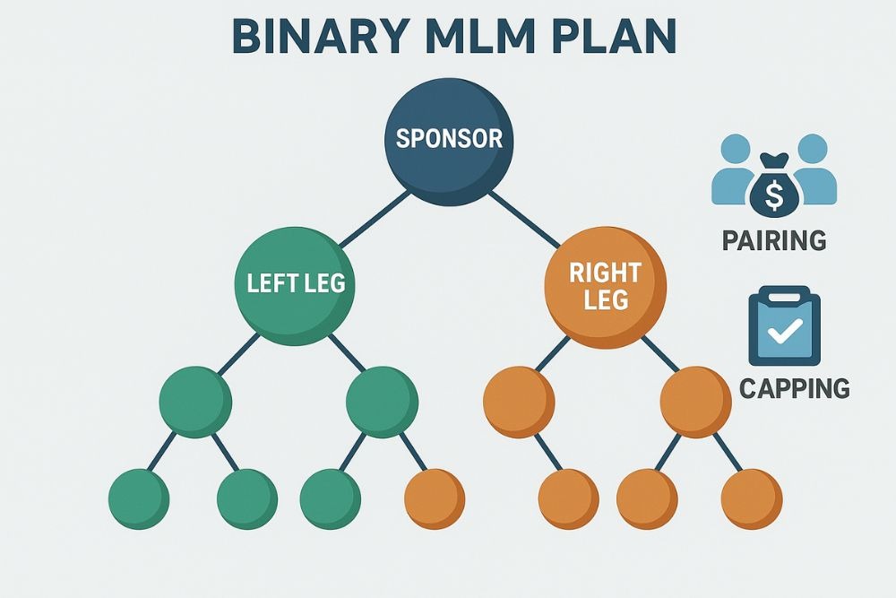 Most Popular Binary MLM Software